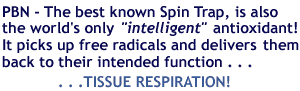 What makes Spin Trap an intelligent antioxidant?