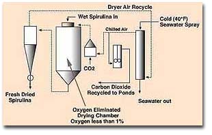 Ocean Chill Drying
