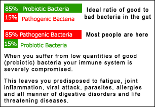 The correct ratio of good to bad bacteria in the gut